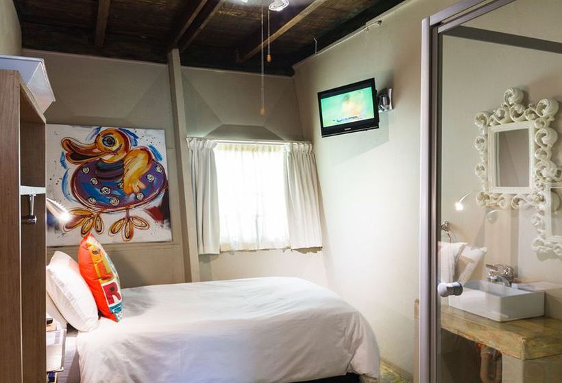 膳宿费 Modimolle Funky Stay Backpackers