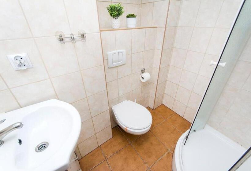 הוסטל Akademikus Toruń