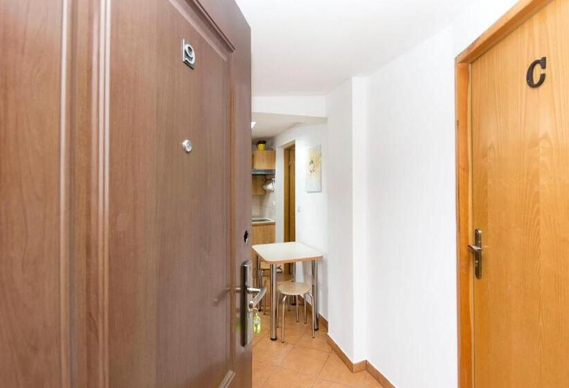 הוסטל Akademikus Toruń