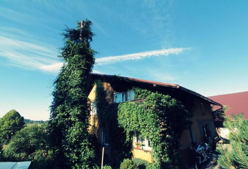 مبيت وإفطار Agroturystyka Tyniok