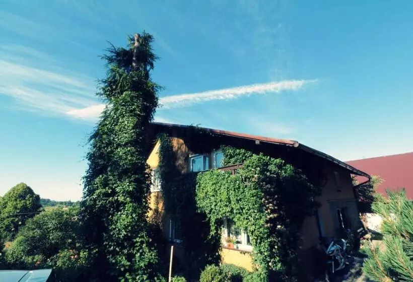 ベッドアンドブレックファースト Agroturystyka Tyniok