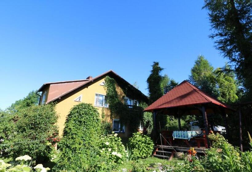 مبيت وإفطار Agroturystyka Tyniok