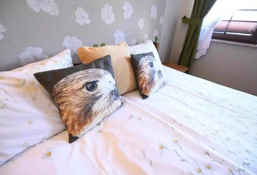 Aamiaismajoitus (B&B) Gościniec Malinówka