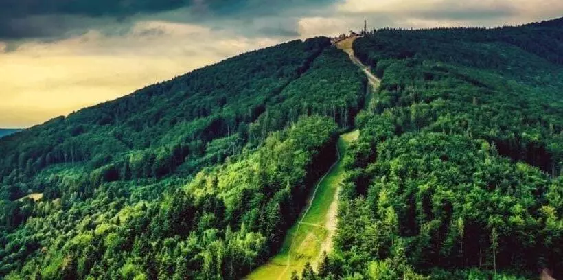 Aamiaismajoitus (B&B) Siedem życzeń