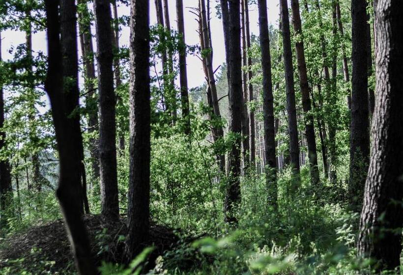 ベッドアンドブレックファースト Zajazd Dabie