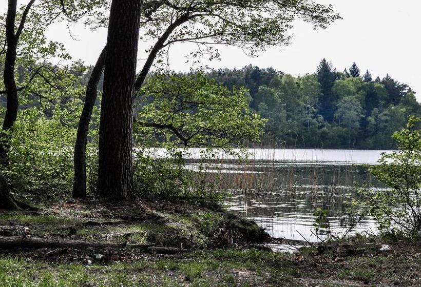 ベッドアンドブレックファースト Zajazd Dabie