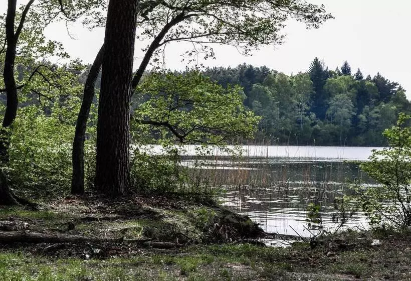 ベッドアンドブレックファースト Zajazd Dabie