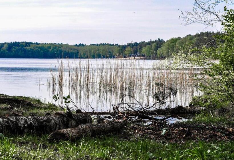 ベッドアンドブレックファースト Zajazd Dabie