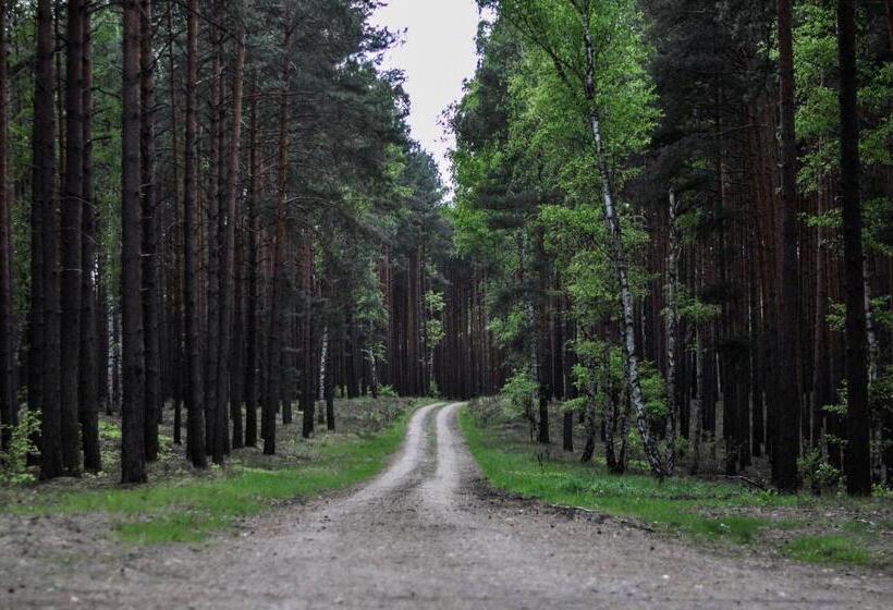 ベッドアンドブレックファースト Zajazd Dabie