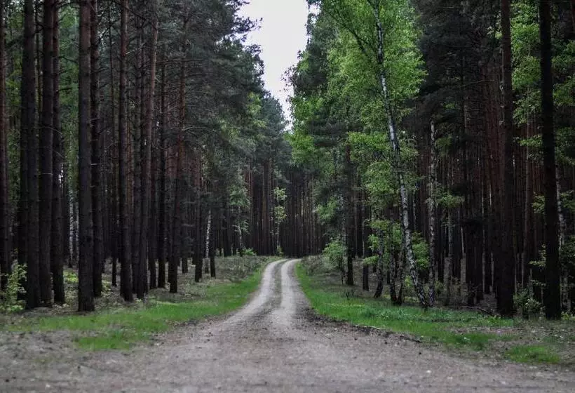 ベッドアンドブレックファースト Zajazd Dabie