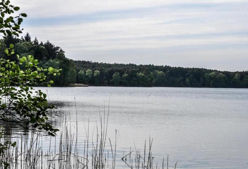 ベッドアンドブレックファースト Zajazd Dabie