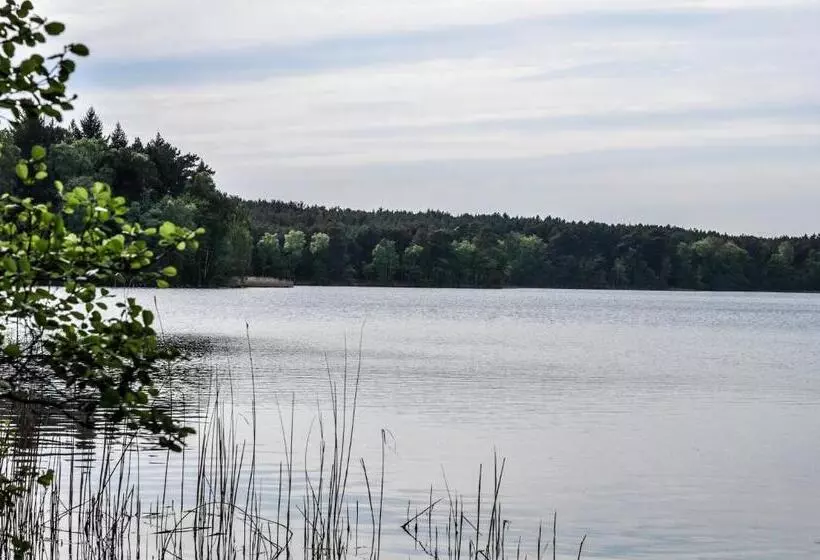 ベッドアンドブレックファースト Zajazd Dabie