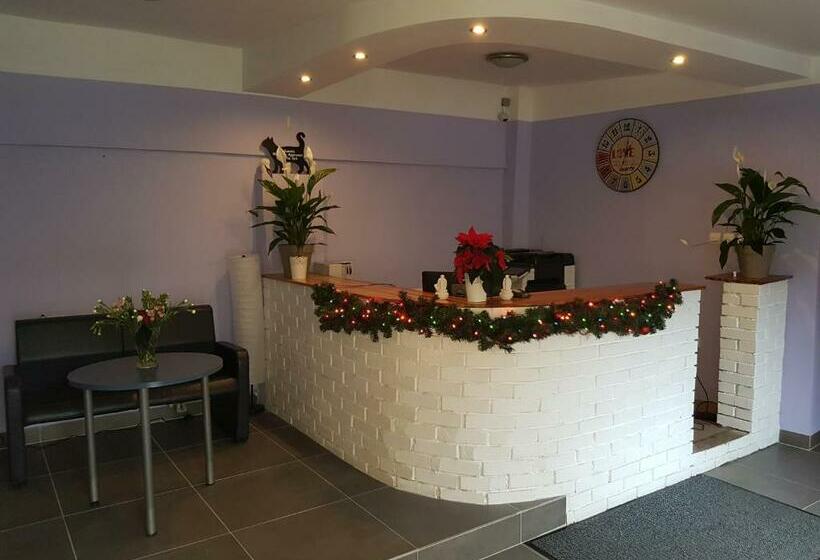 Hostel Kaktus Kraków