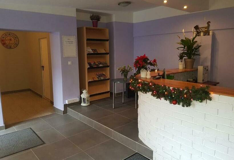 Hostel Kaktus Kraków