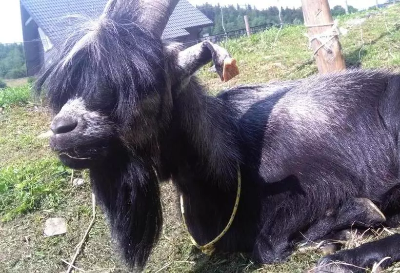 ホテル Agroturystyka,, Ranczo Kruszynki