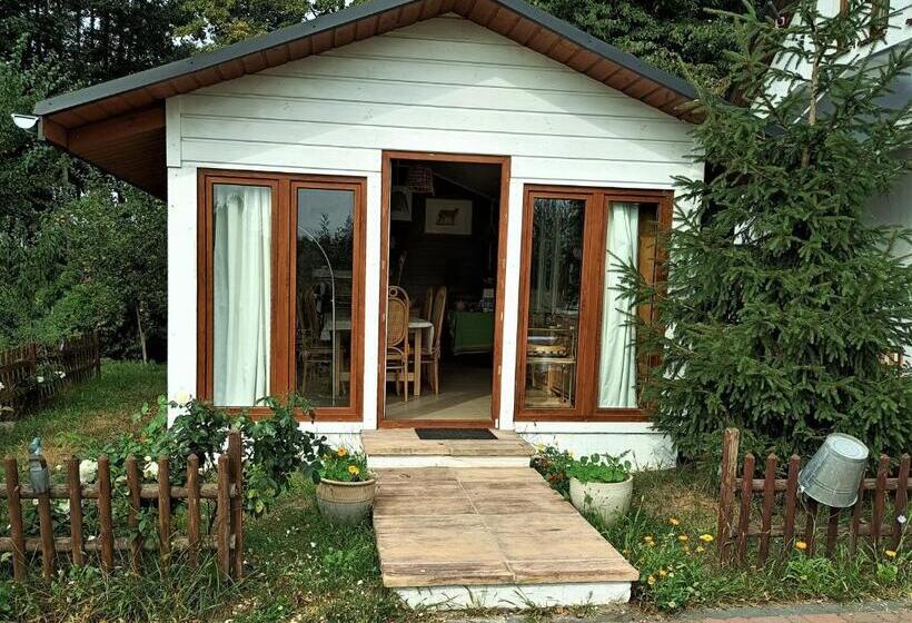 호텔 Cichosza   The Sound Of Silence