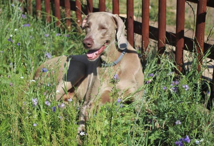 호텔 Cichosza   The Sound Of Silence