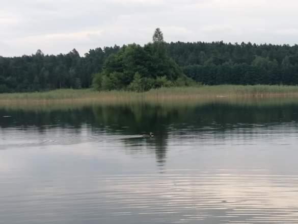 בית מלון כפרי Eko Fish