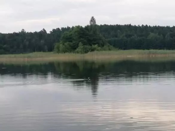 ホテル Eko Fish