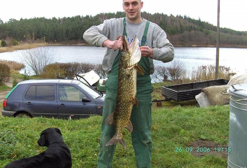 בית מלון כפרי Eko Fish