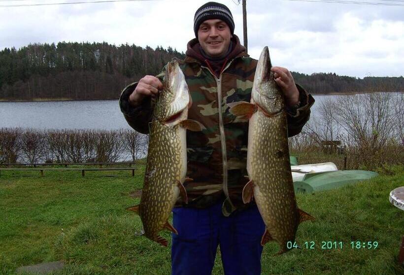 בית מלון כפרי Eko Fish