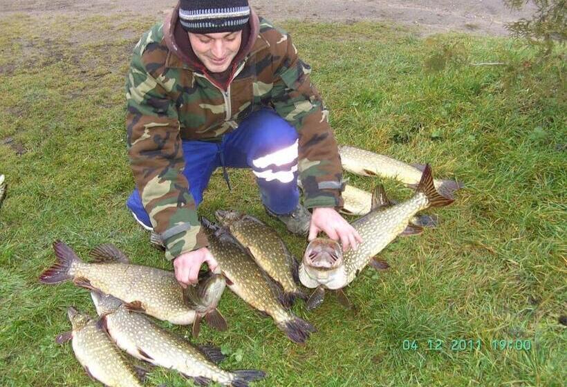 בית מלון כפרי Eko Fish