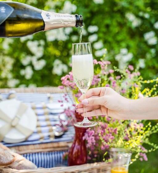 Отель Srebrny Bucznik Wellness & Restaurant