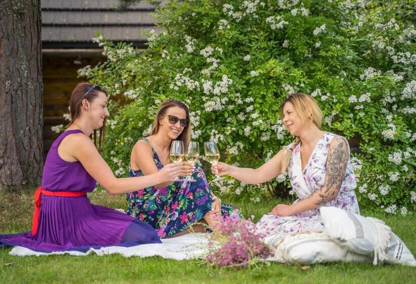 Отель Srebrny Bucznik Wellness & Restaurant