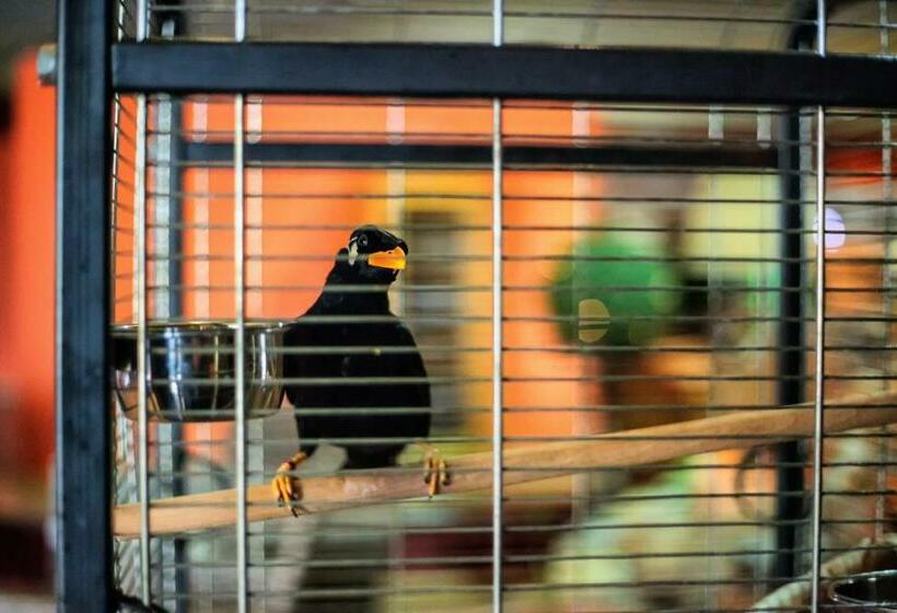 בית מלון כפרי U Grubego