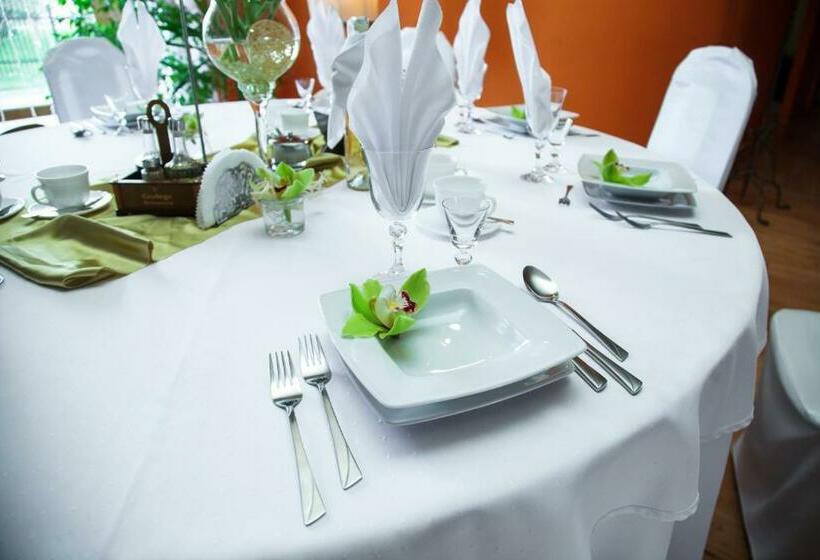 בית מלון כפרי U Grubego