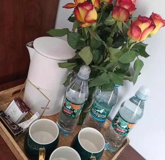 Motelli Pokoje Bakos Radocza