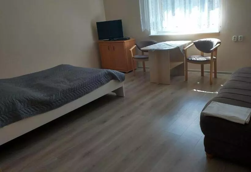 ペンション Apartament I Pokoje Gościnne Budnik