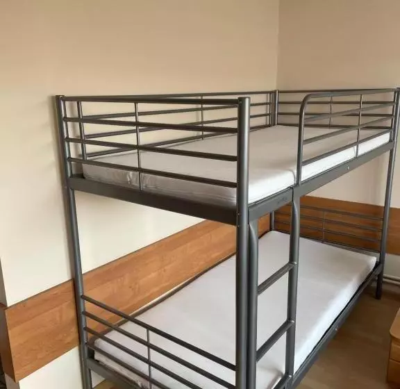 ペンション Apartament I Pokoje Gościnne Budnik