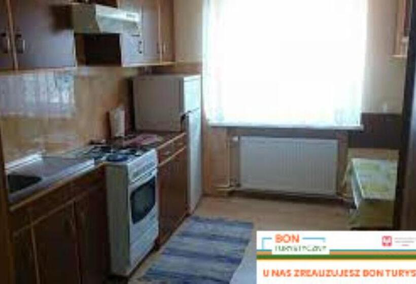 膳宿费 Apartament I Pokoje Gościnne Budnik