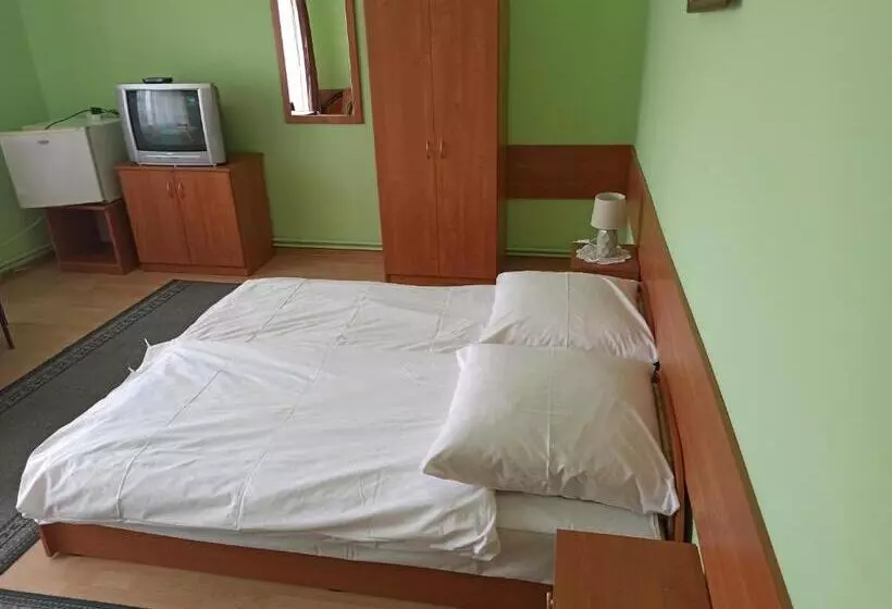 ペンション Apartament I Pokoje Gościnne Budnik