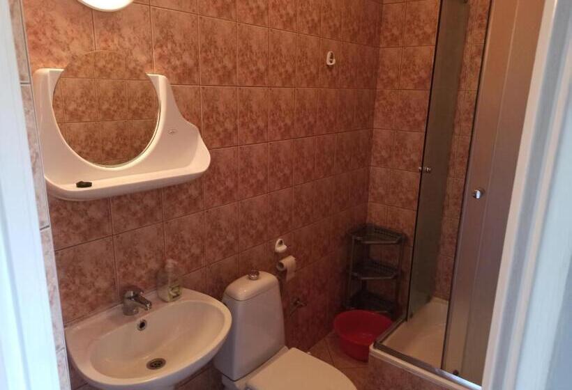 膳宿费 Apartament I Pokoje Gościnne Budnik