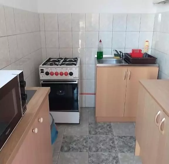ペンション Apartament I Pokoje Gościnne Budnik