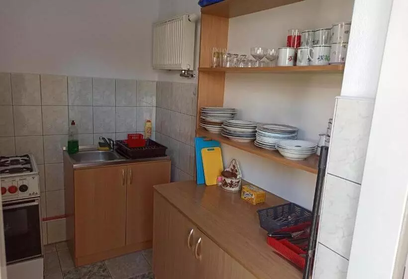 ペンション Apartament I Pokoje Gościnne Budnik