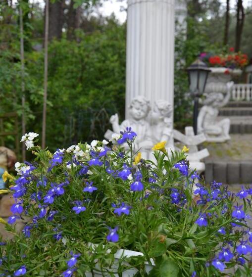 Panzió Bed&breakfast Maciejanka