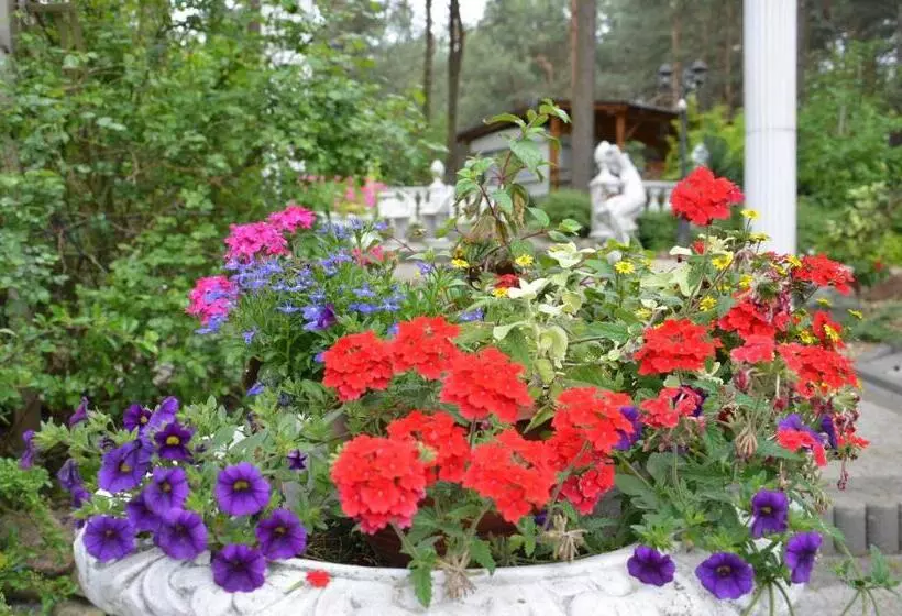 ペンション Bed&breakfast Maciejanka