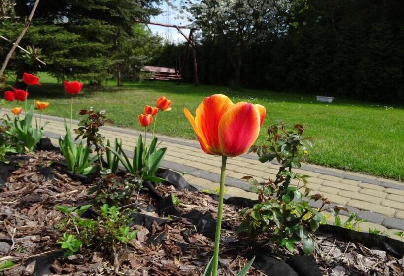 Пансион Dom Gościnny Przedmieście