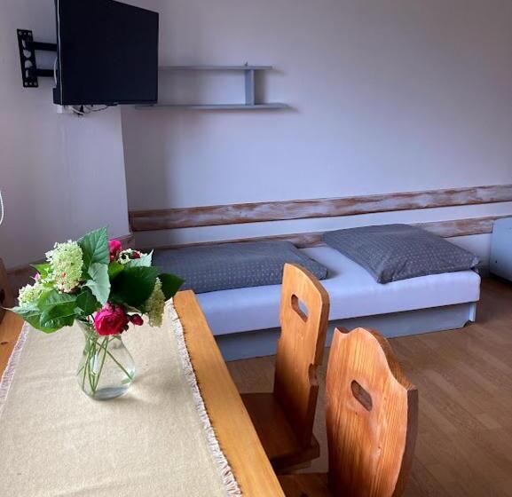 ペンション Dom Wypoczynkowy Pod Polanką