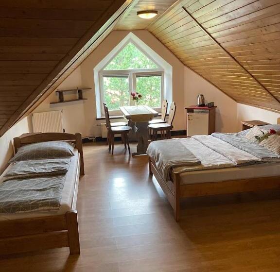 ペンション Dom Wypoczynkowy Pod Polanką