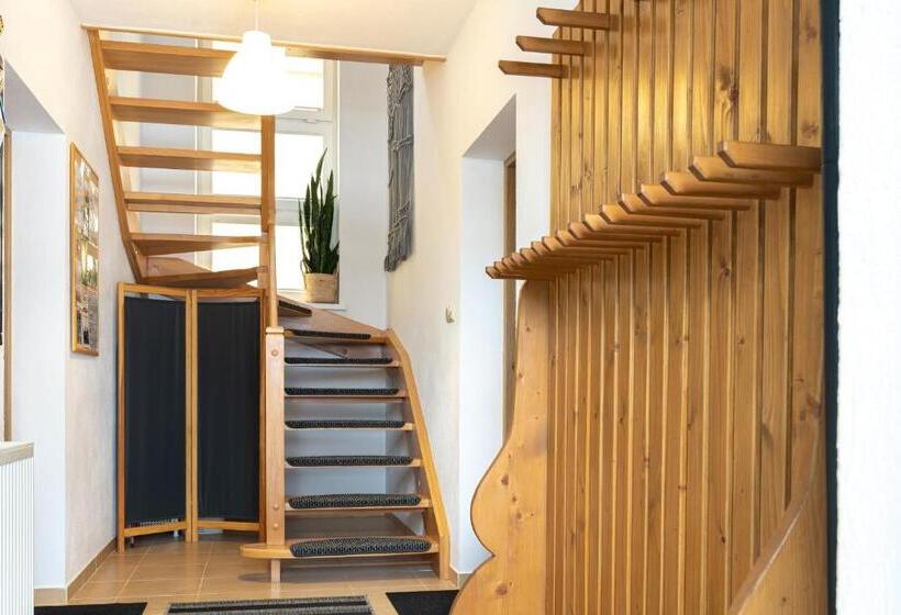 پانسیون Molonówka Guest House