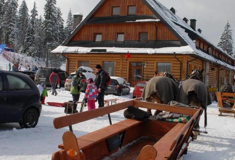 渡假胜地 Kompleks Zagroń Istebna