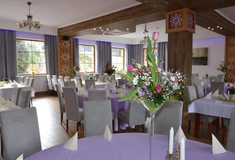 渡假胜地 Kompleks Zagroń Istebna