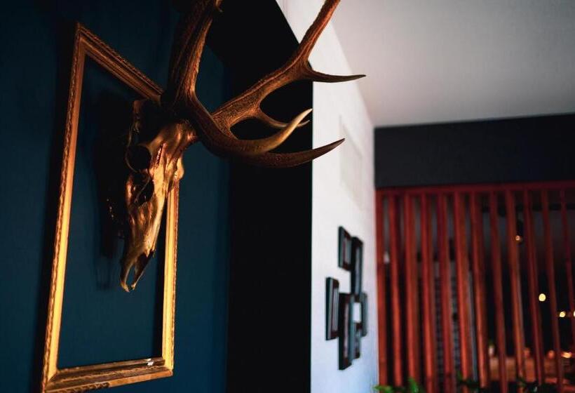 酒店 Restauracja Balton