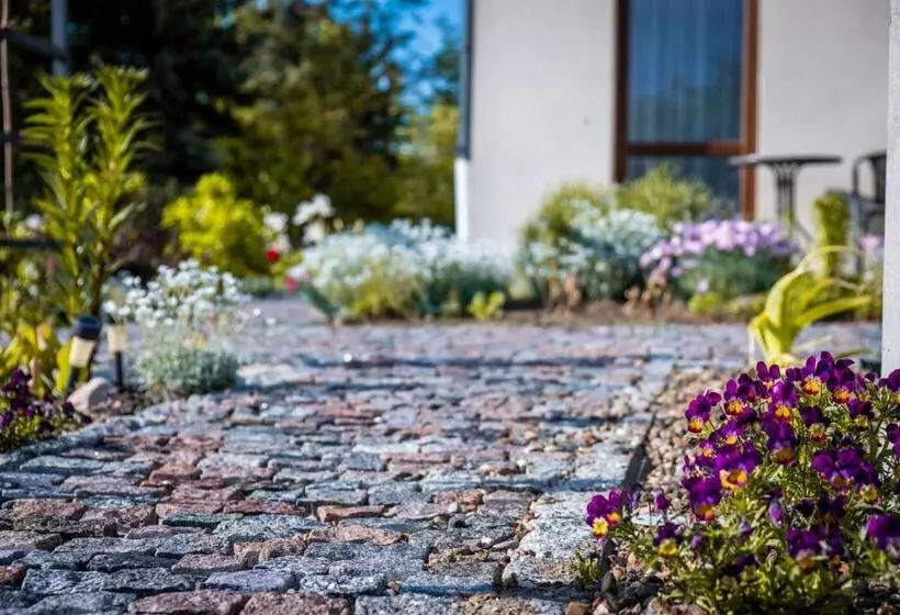 Aamiaismajoitus (B&B) Cicha Zdrój