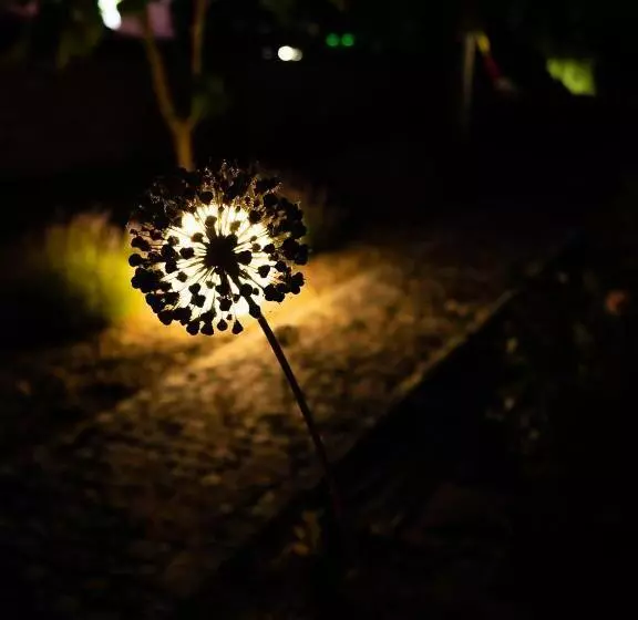 Aamiaismajoitus (B&B) Cicha Zdrój