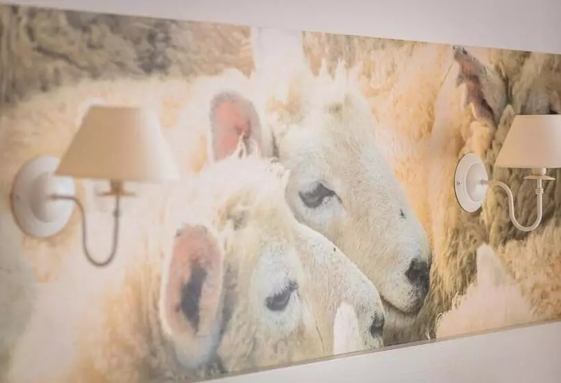 Aamiaismajoitus (B&B) Cicha Zdrój